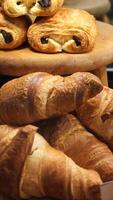 Freshly baked croissants displayed in a bakery setting video