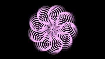 Abstract Rotating Flower Animation 4K Digital Spinning Pink Color Floral Decorative Seamless Looping Circular Moving Graphic Element with Isolated Transparent Background video