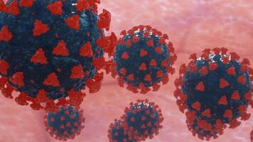 3D visualization of virus particles with red spikes on a biological surface, microscopic view. video
