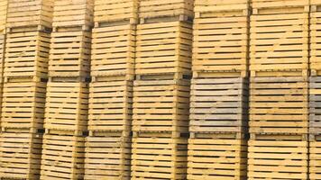 Stacks of empty wooden vegetable crates arranged in rows on agricultural land. video