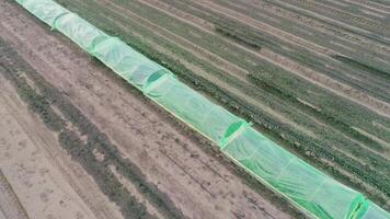 Top-down drone view of farmland with protective netting over crops. video