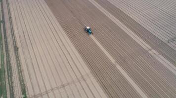 Aerial view of tractor cultivating large agricultural field in parallel rows video