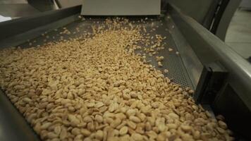 Roasting peanuts. Sorting operations in nuts factory. Roasted peanut packaging production line 2 video