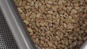 Roasting peanuts. Sorting operations in nuts factory. Roasted peanut packaging production line 8 video
