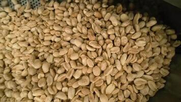 Roasting peanuts. Sorting operations in nuts factory. Roasted peanut packaging production line 5 video
