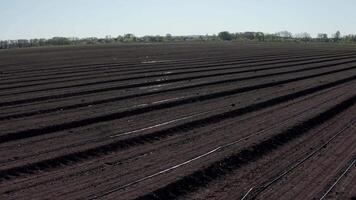 Irrigation system on agricultural land. Water saving drip irrigation system being used in a field. 17 video
