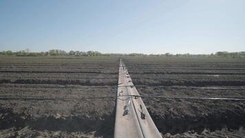 Irrigation system on agricultural land. Water saving drip irrigation system being used in a field. 4 video
