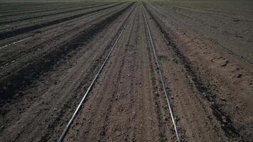 Irrigation system on agricultural land. Water saving drip irrigation system being used in a field. 2 video