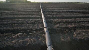 Irrigation system on agricultural land. Water saving drip irrigation system being used in a field. 9 video