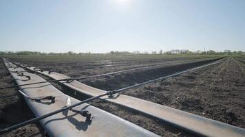 Irrigation system on agricultural land. Water saving drip irrigation system being used in a field. 6 video