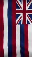 Hawaii State Waving Flag in Vertical Orientation. Realistic Flag Animation. Seamless Loop Background. video