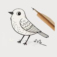 How to draw a bird vector