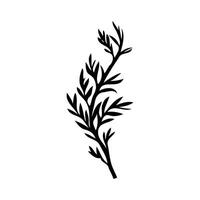 A silhouette a leafy plant. The drawing is of a single leaf, with the stem and branches visible. The leaf is thin and elongated, with a pointed tip vector