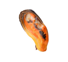 Cooked green mussels in red meat without shell isolated with clipping path in file format png