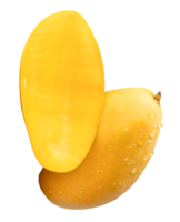 A vertical pile of single ripe yellow mango fruit with half and water droplets isolated with clipping path in file format png