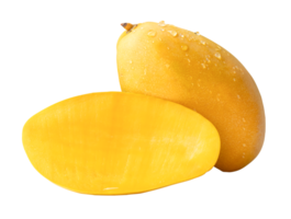 Single ripe yellow mango fruit with half and water droplets in stack isolated with clipping path in file format png