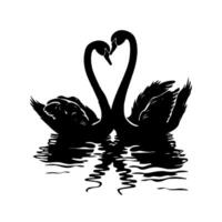 Black silhouette of two swans forming a heart shape with their necks, reflected on calm water, set against a white background, symbolizing love vector