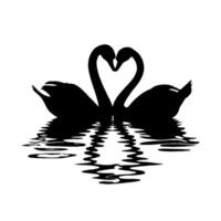 Two swans forming heart shape with reflections on water in black silhouette. vector