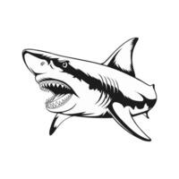 Black and white artwork portraying a ferocious shark in an intense pose vector