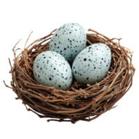 Three speckled eggs in a natural twig nest isolated on transparent background png