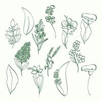 Collection of botanical drawings of various flowers and leaves in green line art vector