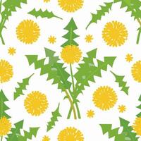 Seamless Pattern Dandelion Flower vector