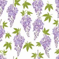 Seamless Pattern Wisteria Flower vector