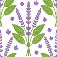 Seamless Pattern Sage Flower vector