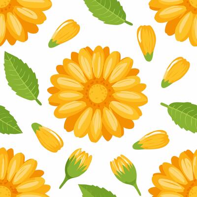 Seamless Pattern Calendula Flower