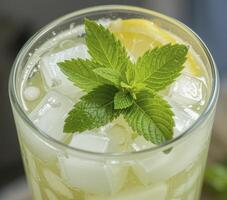 Refreshing Iced Mint and Lemon Drink in Clear Glass photo