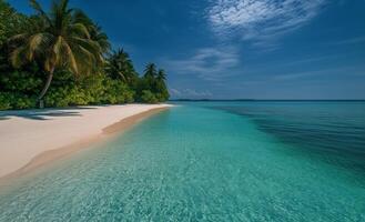 Turquoise Waters and White Sand Beach Under a Clear Blue Sky in a Tropical Paradise photo