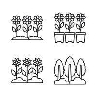 A series of four different types of flowers vector