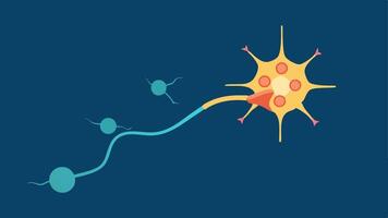 Dopamine Release An illustration of a neuron firing showing neurotransmitters dopamine being released into the synaptic cleft highlighting the connection between neurons.. vector