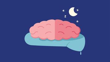 Brain and Sleep A brain illustrated resting on a pillow with Zs floating away indicating insomnia and sleep disturbances linked to chronic stress.. vector