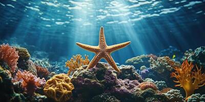 vibrant underwater scene featuring starfish resting on colorful coral reef, illuminated by beams of sunlight filtering through water surface, creating serene and captivating atmosphere photo