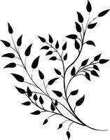 Elegant Botanical Silhouette Of Branches And Leaves On A Clean White Background vector