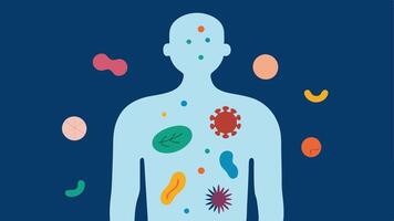 Microbiome Analysis Illustration of a human silhouette with various colorful bacteria and microbes depicted around the gastrointestinal tract showing the importance of the. vector
