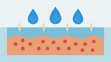 Moisture Retention An illustration of a skin layer with large water droplets above transitioning to smaller droplets as they are absorbed by the skin with nanotechnology signifying. vector
