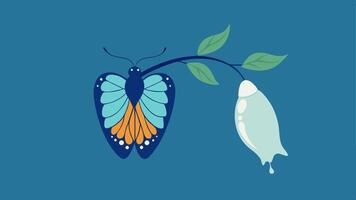 Butterfly Emergence A butterfly emerging from a chrysalis symbolizing transformation and growth that comes with letting go of grudges.. vector