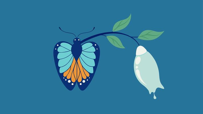 Butterfly Emergence A butterfly emerging from a chrysalis symbolizing transformation and growth that comes with letting go of grudges..