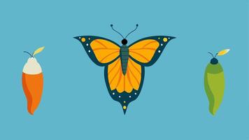 Chrysalis to Butterfly An illustration of a chrysalis transforming into a butterfly with the stages of metamorphosis depicted to symbolize growth and transformation after trauma.. vector