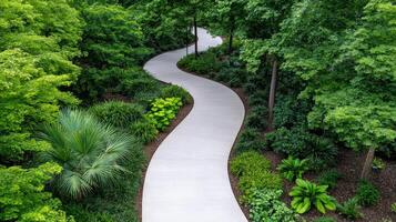 A walkway through a lush green park photo