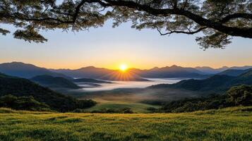 A beautiful sunrise over the mountains with trees and grass photo