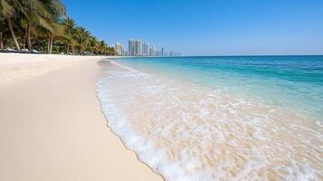 A beach with palm trees and water photo