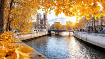 The river is lined with yellow leaves and trees photo