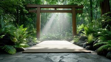 A wooden gate in the middle of a forest photo