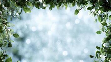 A frame with green leaves and water photo