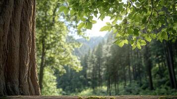 A tree trunk and a tree in the forest photo