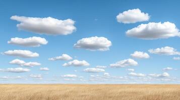 A field with some clouds in the sky photo