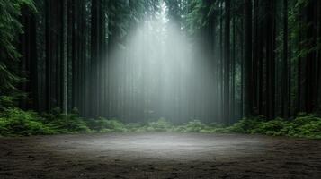 A dark forest with a light shining through the trees photo